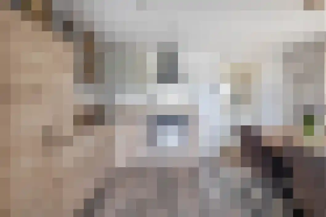 Vonkslaan 47 Bellingwolde thumbnail 16