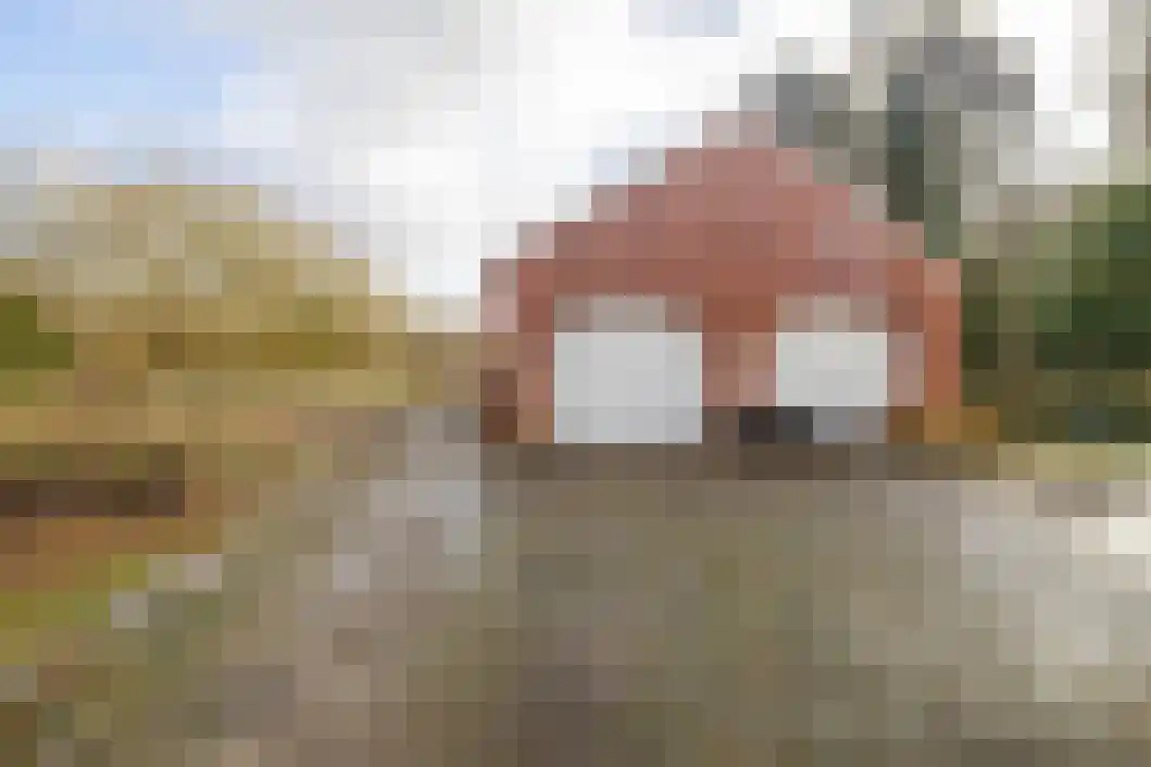 Vonkslaan 47 Bellingwolde thumbnail 36