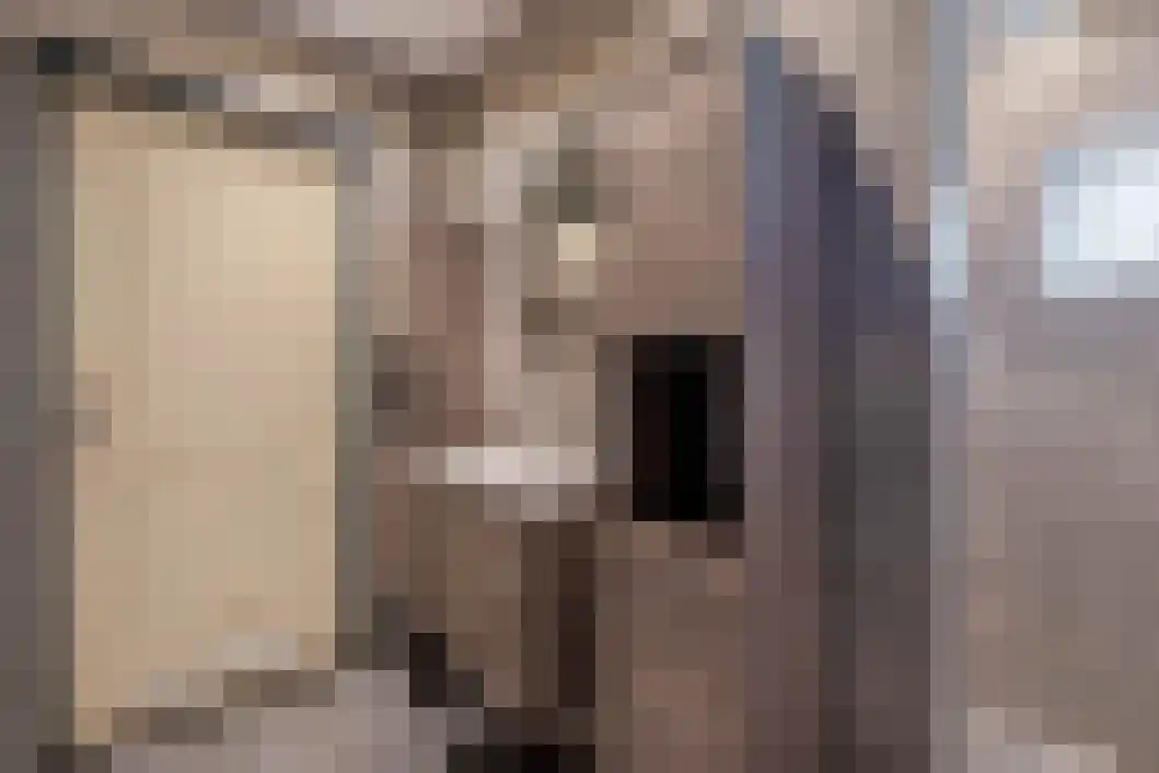 Vonkslaan 47 Bellingwolde thumbnail 4