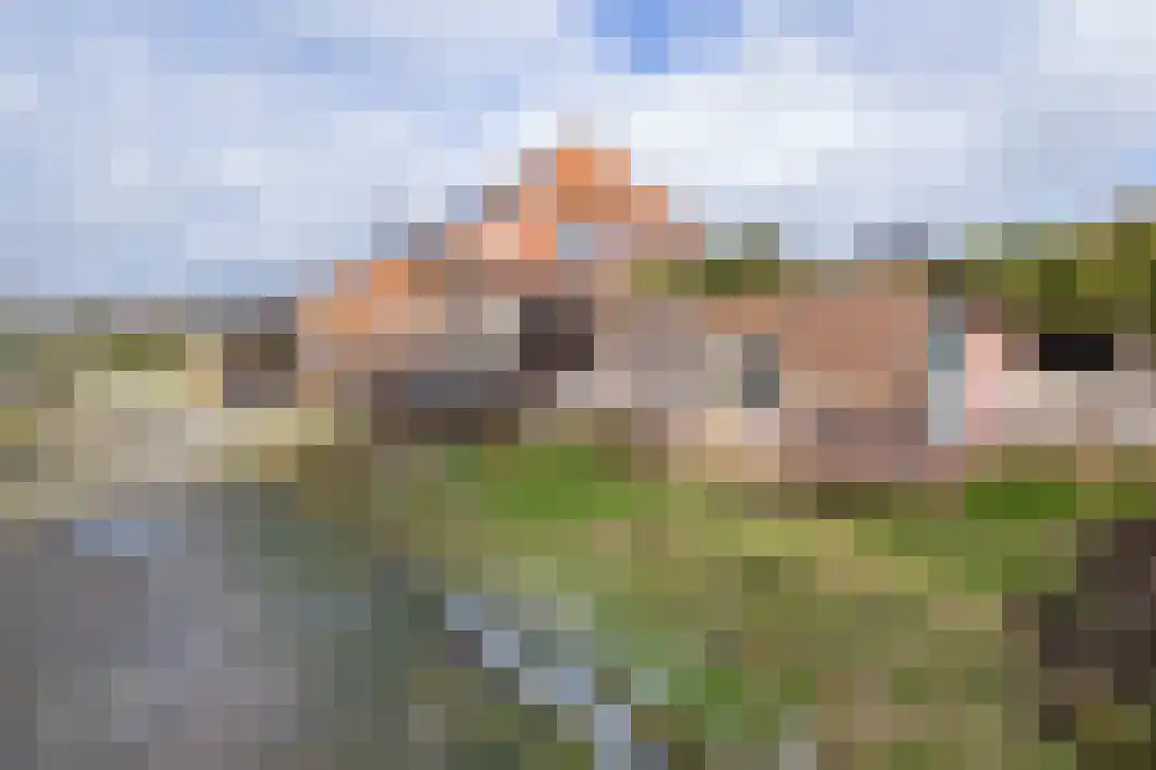 Vonkslaan 47 Bellingwolde thumbnail 45