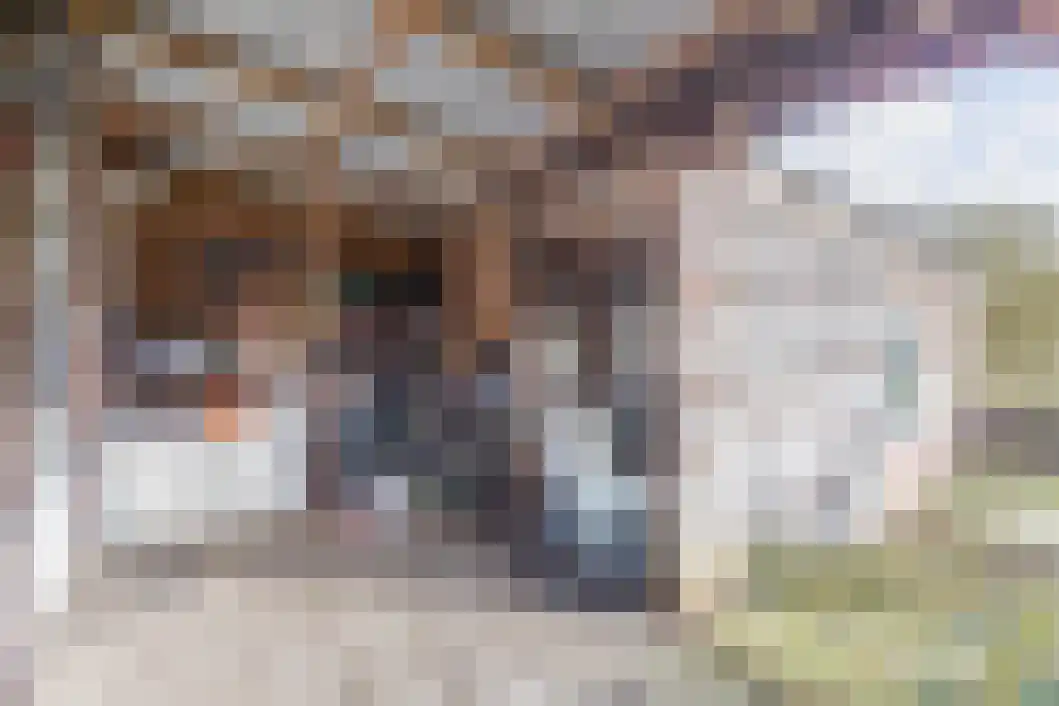 Vonkslaan 47 Bellingwolde thumbnail 47