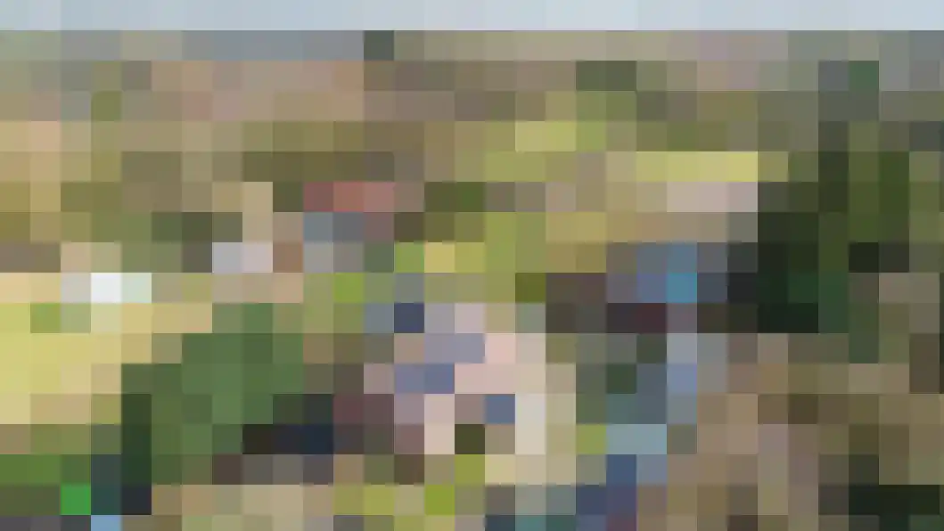 Vonkslaan 47 Bellingwolde thumbnail 49