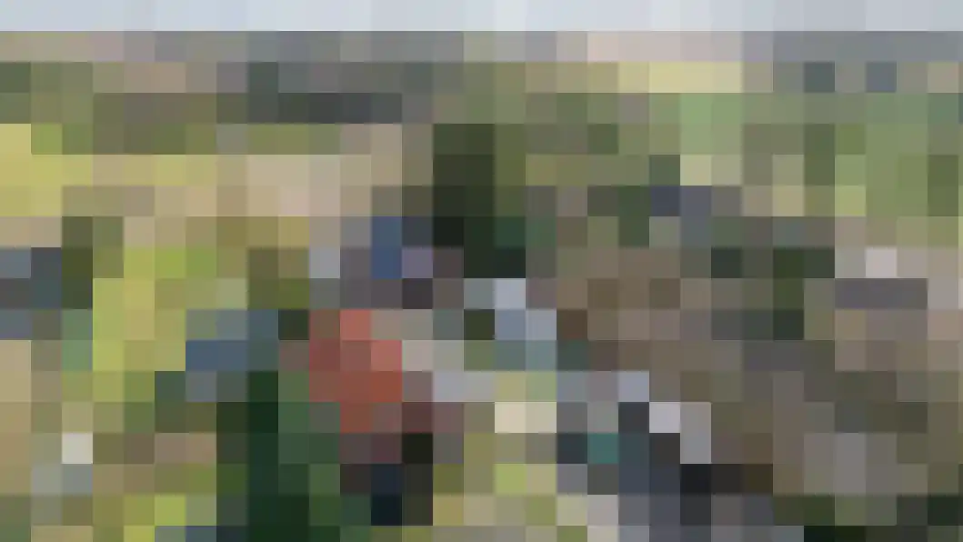 Vonkslaan 47 Bellingwolde thumbnail 50
