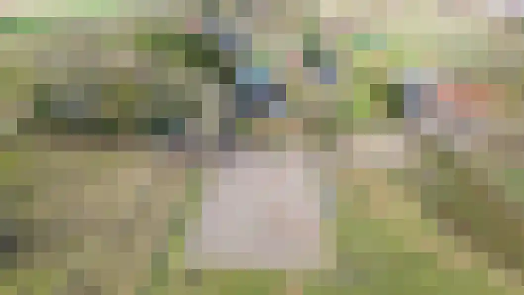Vonkslaan 47 Bellingwolde thumbnail 51