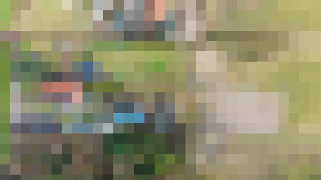 Vonkslaan 47 Bellingwolde thumbnail 53