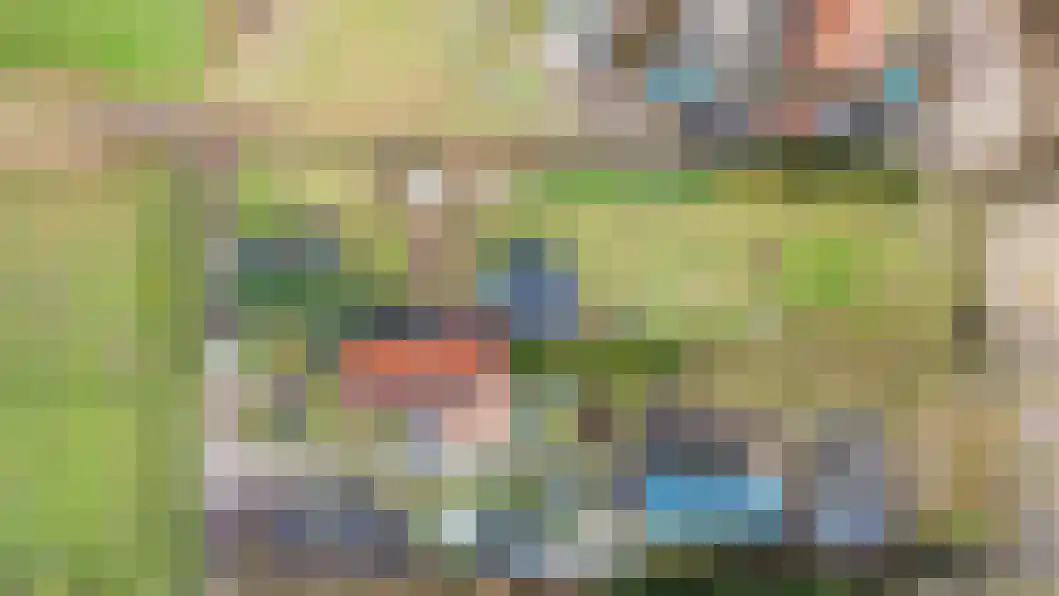 Vonkslaan 47 Bellingwolde thumbnail 54