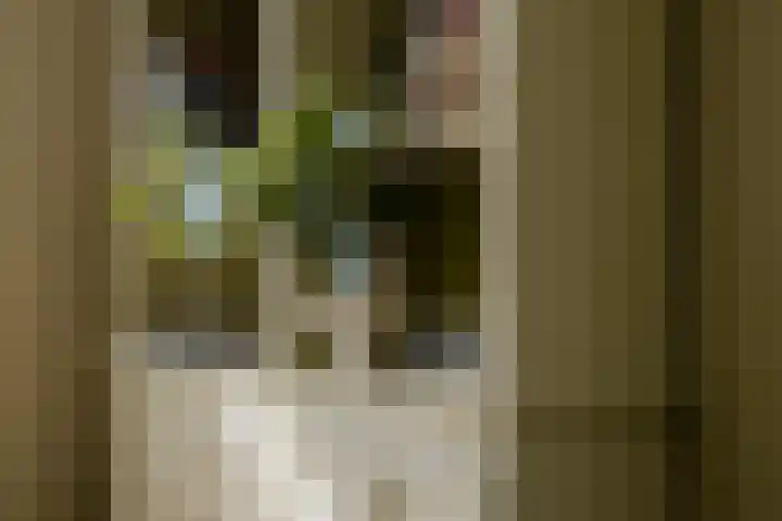 Voogdijstraat 12 Roermond thumbnail 13
