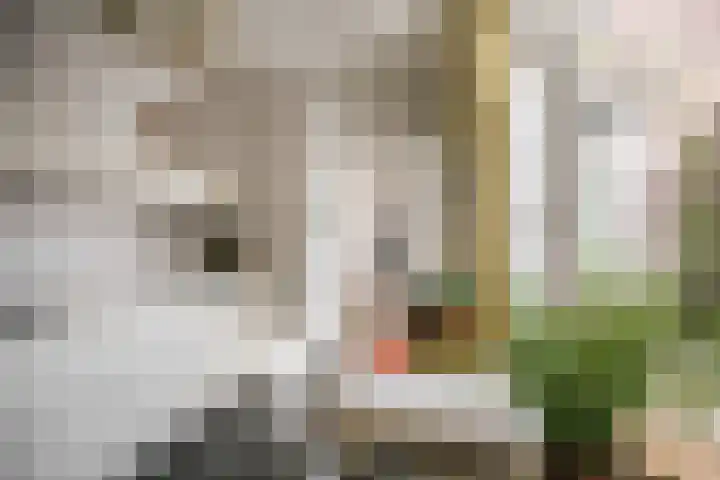 Voogdijstraat 12 Roermond thumbnail 20