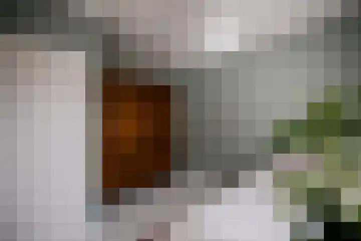 Voogdijstraat 12 Roermond thumbnail 30