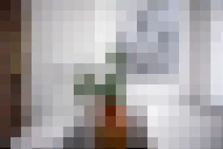 Voogdijstraat 12 Roermond thumbnail 36