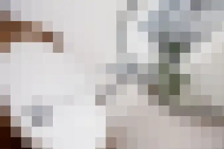 Voogdijstraat 12 Roermond thumbnail 37
