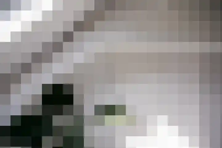 Voogdijstraat 12 Roermond thumbnail 43