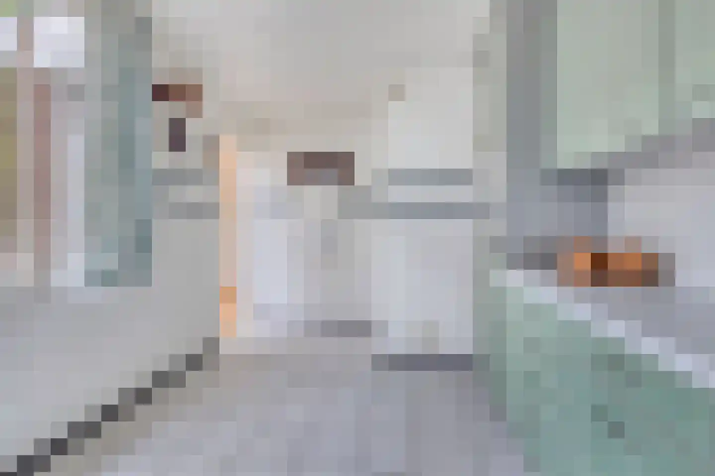 Voogdijstraat 18 Roermond thumbnail 19