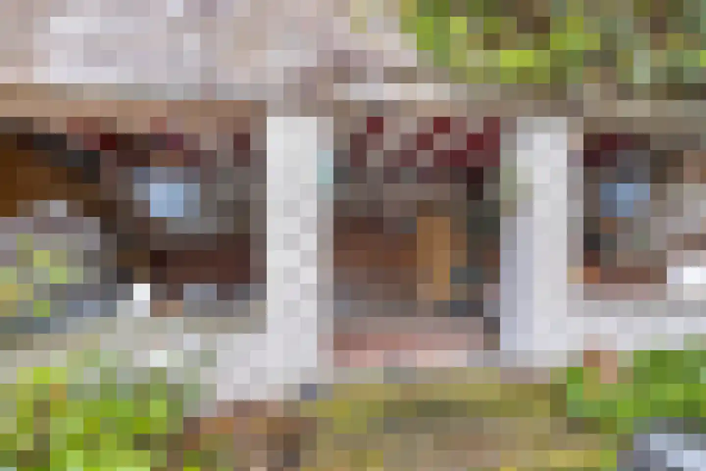 Voogdijstraat 18 Roermond thumbnail 39