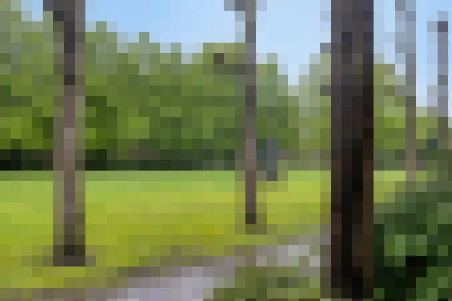Voogdijstraat 18 Roermond thumbnail 42