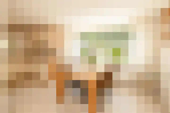 Voomberghlaan 7 Maasdijk foto 3