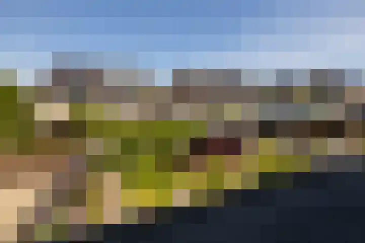Voomberghlaan 7 Maasdijk thumbnail 35