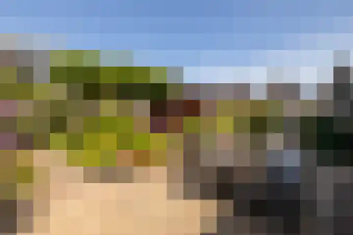Voomberghlaan 7 Maasdijk thumbnail 4