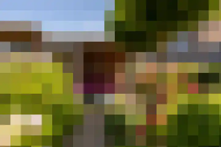 Voomberghlaan 7 Maasdijk thumbnail 41
