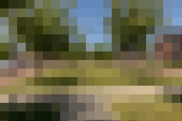 Voomberghlaan 7 Maasdijk thumbnail 45