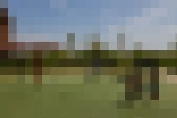 Voomberghlaan 7 Maasdijk thumbnail 46