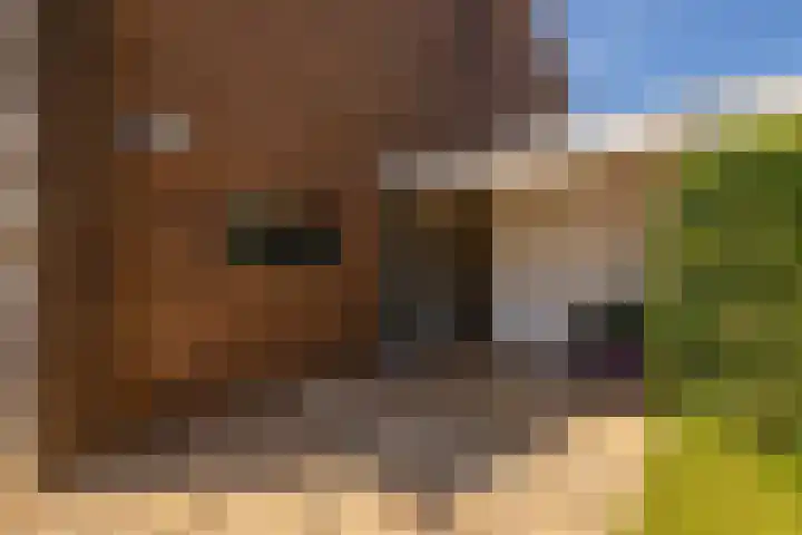 Voomberghlaan 7 Maasdijk thumbnail 5