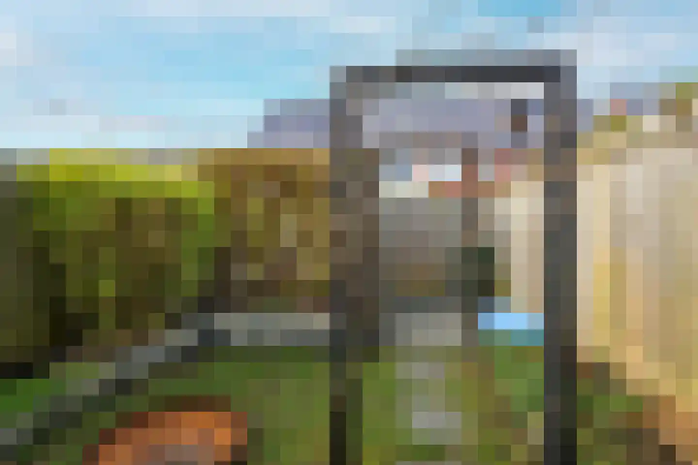 Voomberghplantsoen 28 Maasdijk thumbnail 13