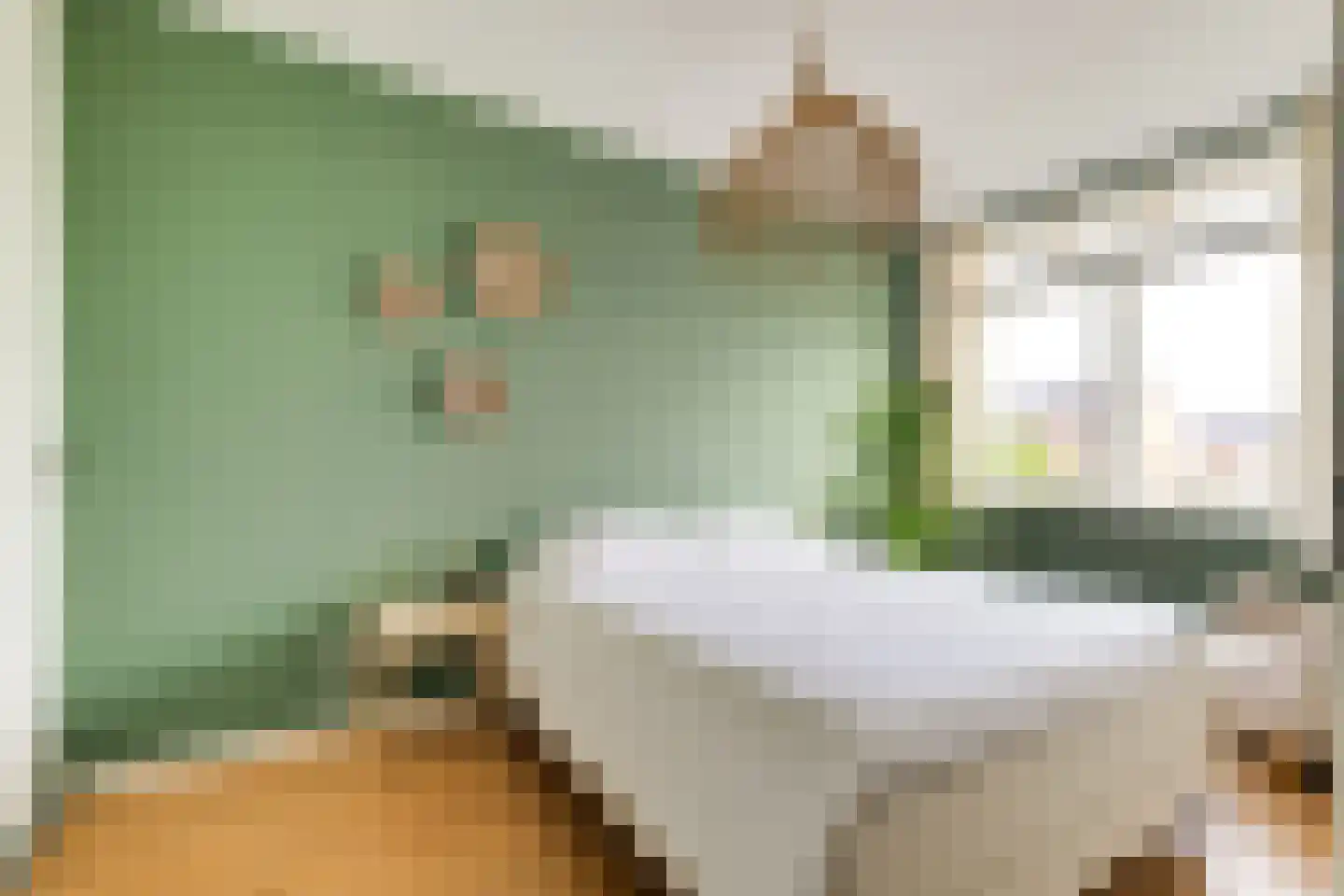 Voomberghplantsoen 28 Maasdijk thumbnail 16