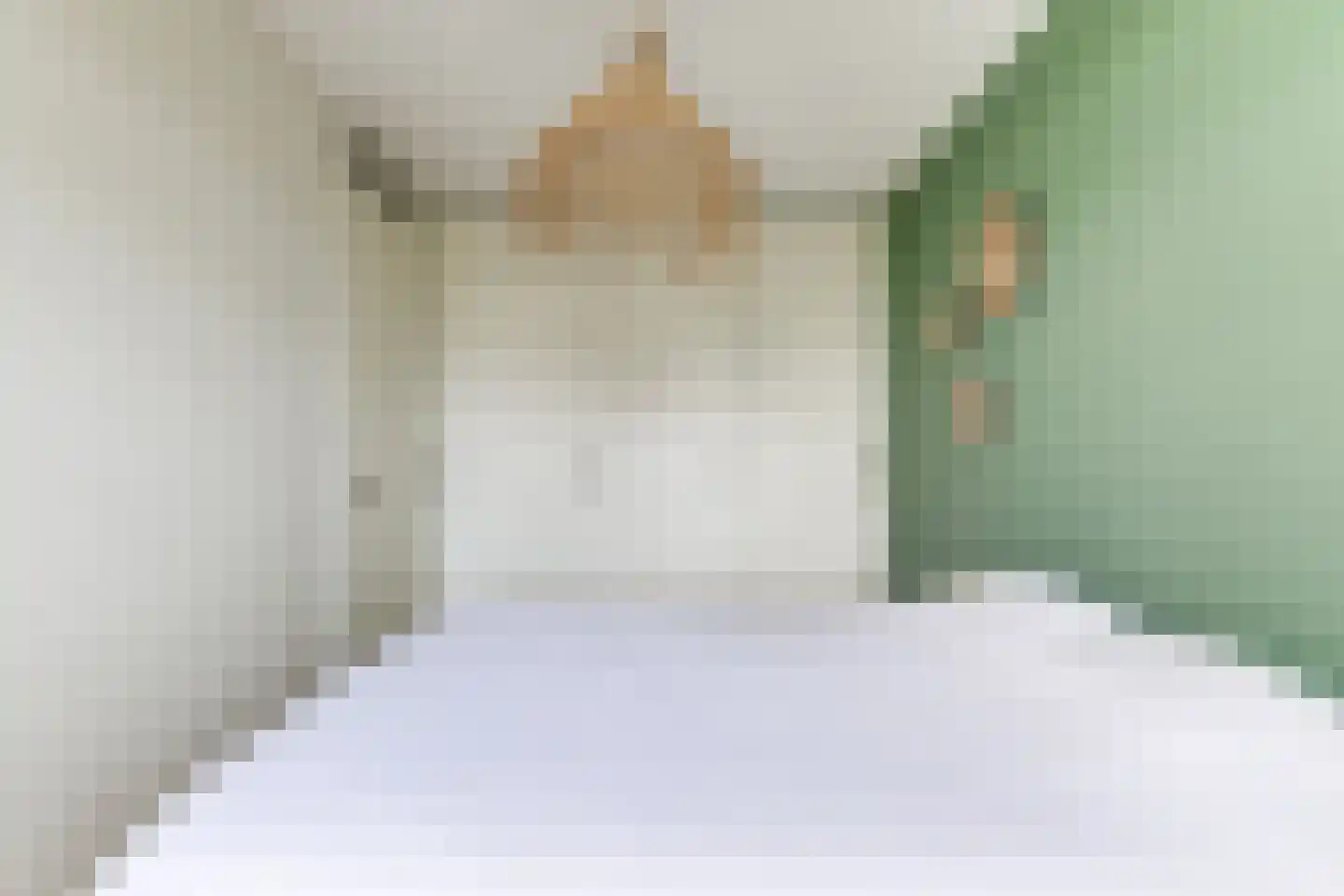 Voomberghplantsoen 28 Maasdijk thumbnail 17
