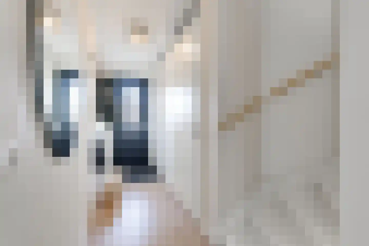 Voomberghplantsoen 28 Maasdijk thumbnail 4