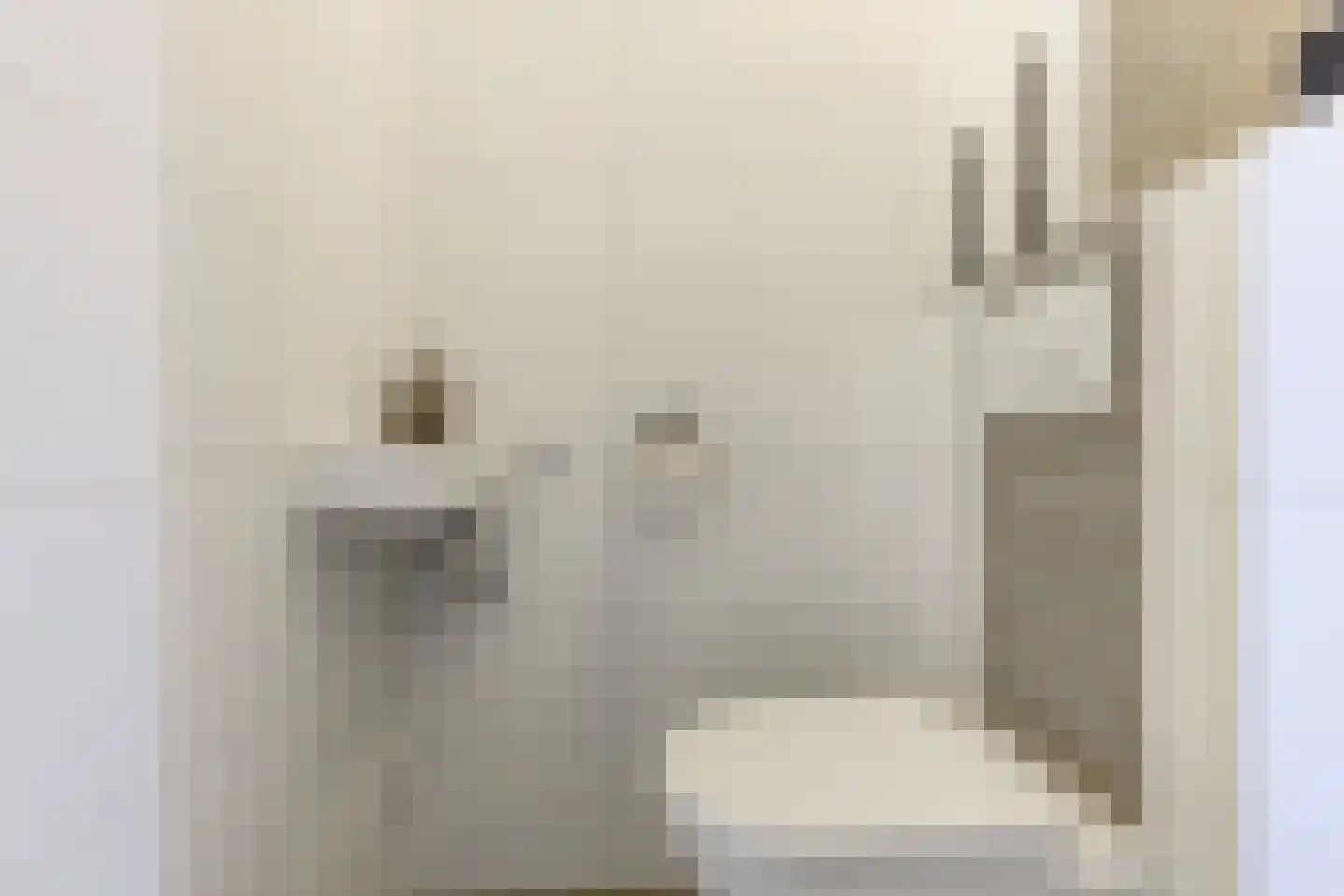 Voomberghplantsoen 28 Maasdijk thumbnail 5