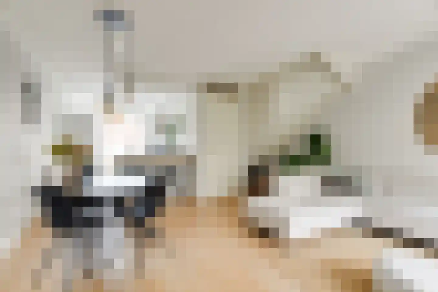 Voomberghplantsoen 28 Maasdijk thumbnail 6