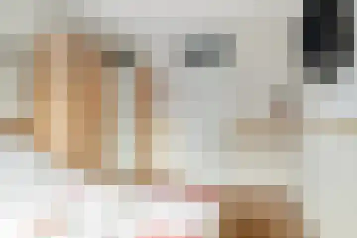 Voor Anker 12 Bunschoten-Spakenburg thumbnail 14