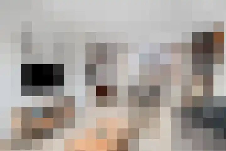 Voor Anker 12 Bunschoten-Spakenburg thumbnail 6