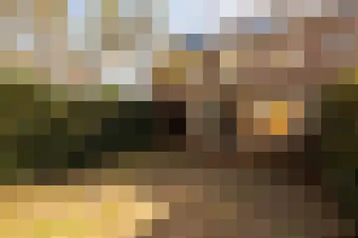 Voor Anker 15 Amstelveen thumbnail 12