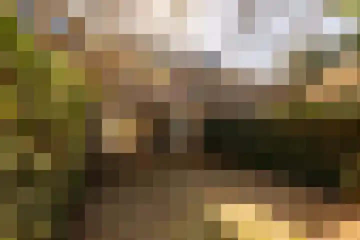 Voor Anker 15 Amstelveen thumbnail 15