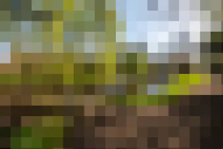 Voor Anker 15 Amstelveen thumbnail 27