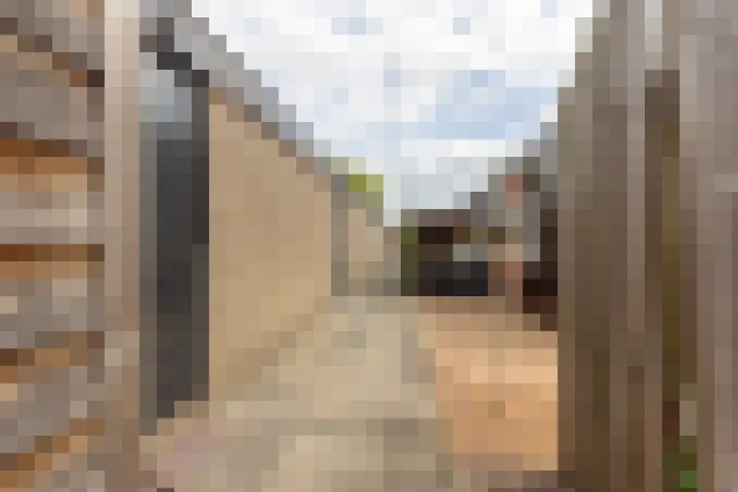 Voor Anker 15 Bunschoten-Spakenburg thumbnail 35