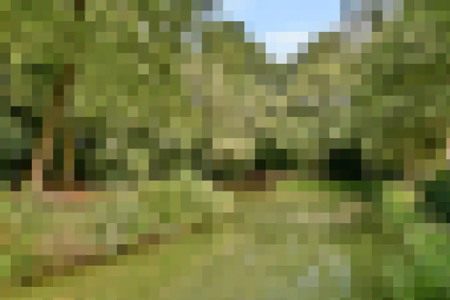 Voor Anker 2 Amstelveen thumbnail 26