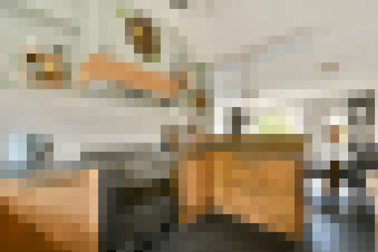 Voor Anker 2 Amstelveen thumbnail 8