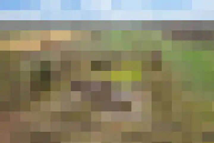 Voor de Blanken 8 Ruinen