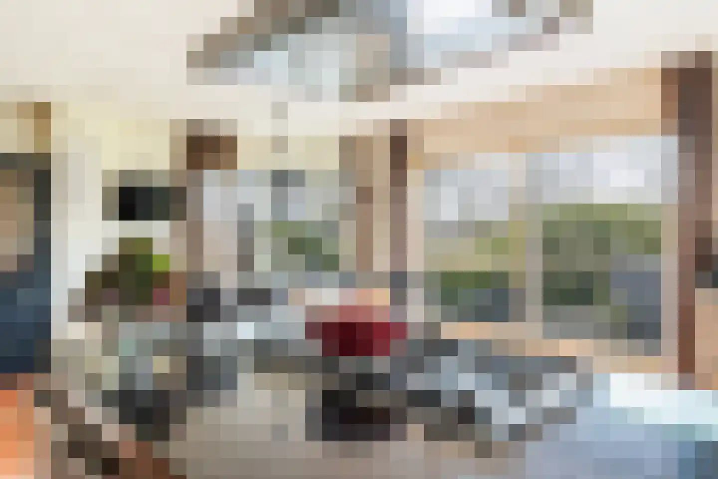 Voor de Blanken 8 Ruinen thumbnail 10