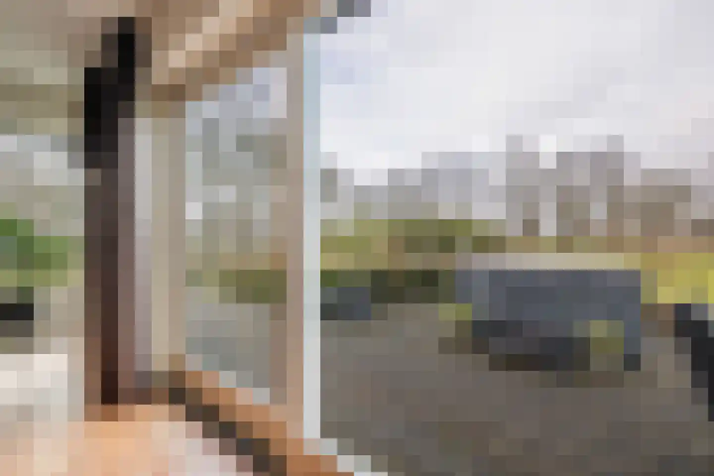 Voor de Blanken 8 Ruinen thumbnail 12
