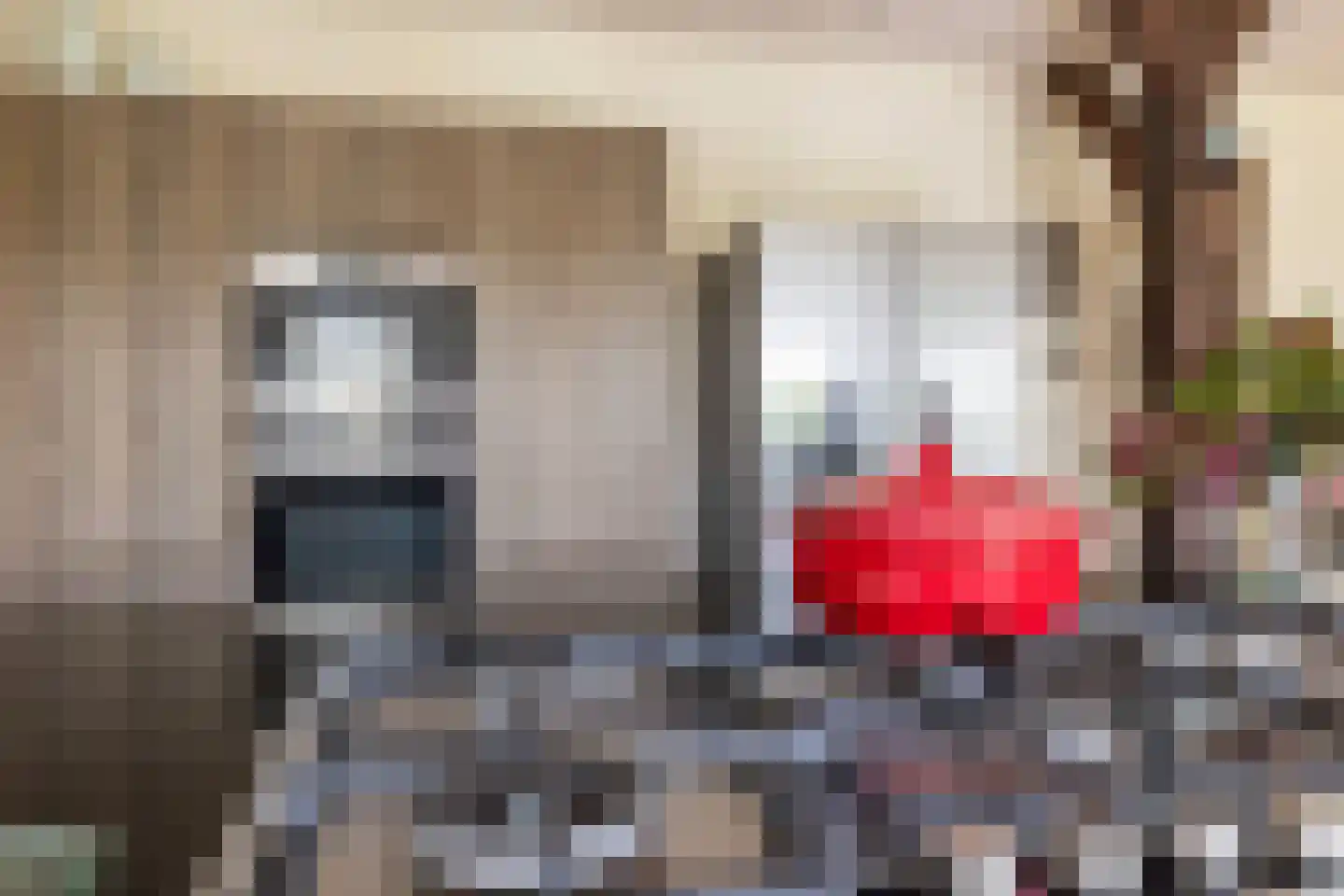 Voor de Blanken 8 Ruinen thumbnail 13