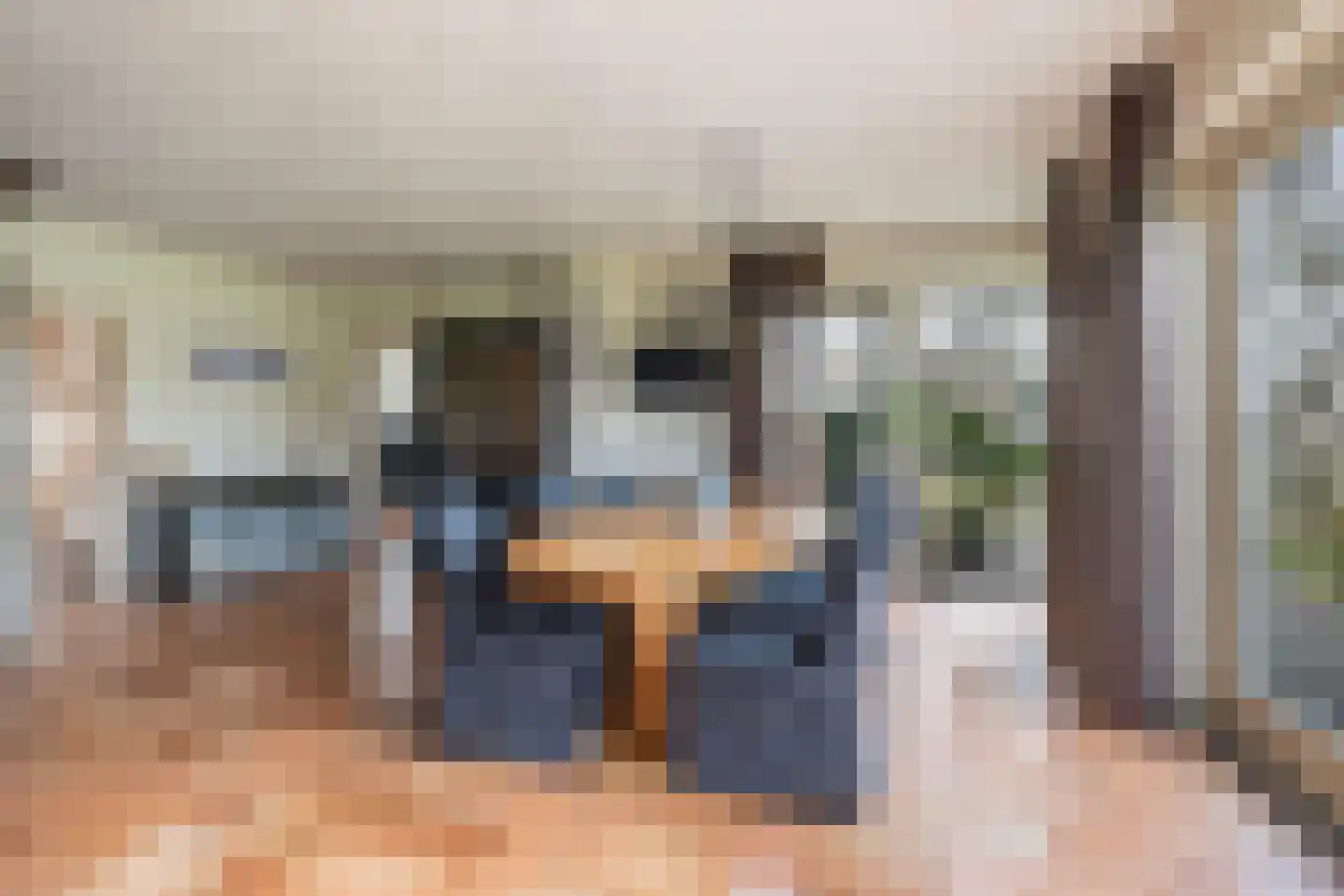 Voor de Blanken 8 Ruinen thumbnail 14
