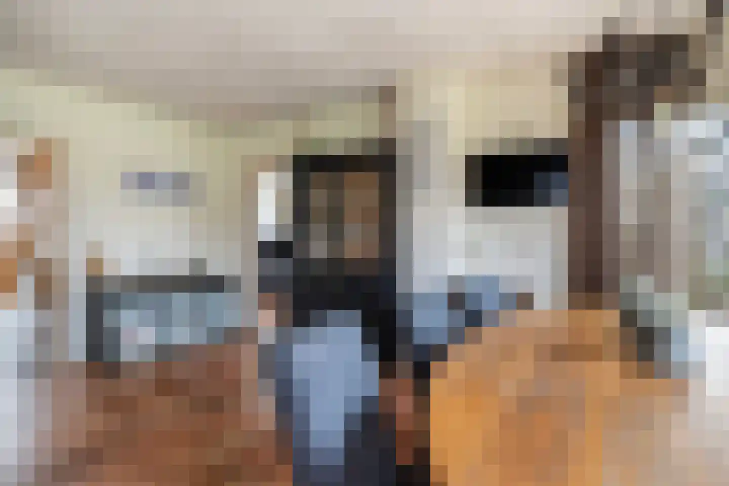 Voor de Blanken 8 Ruinen thumbnail 15