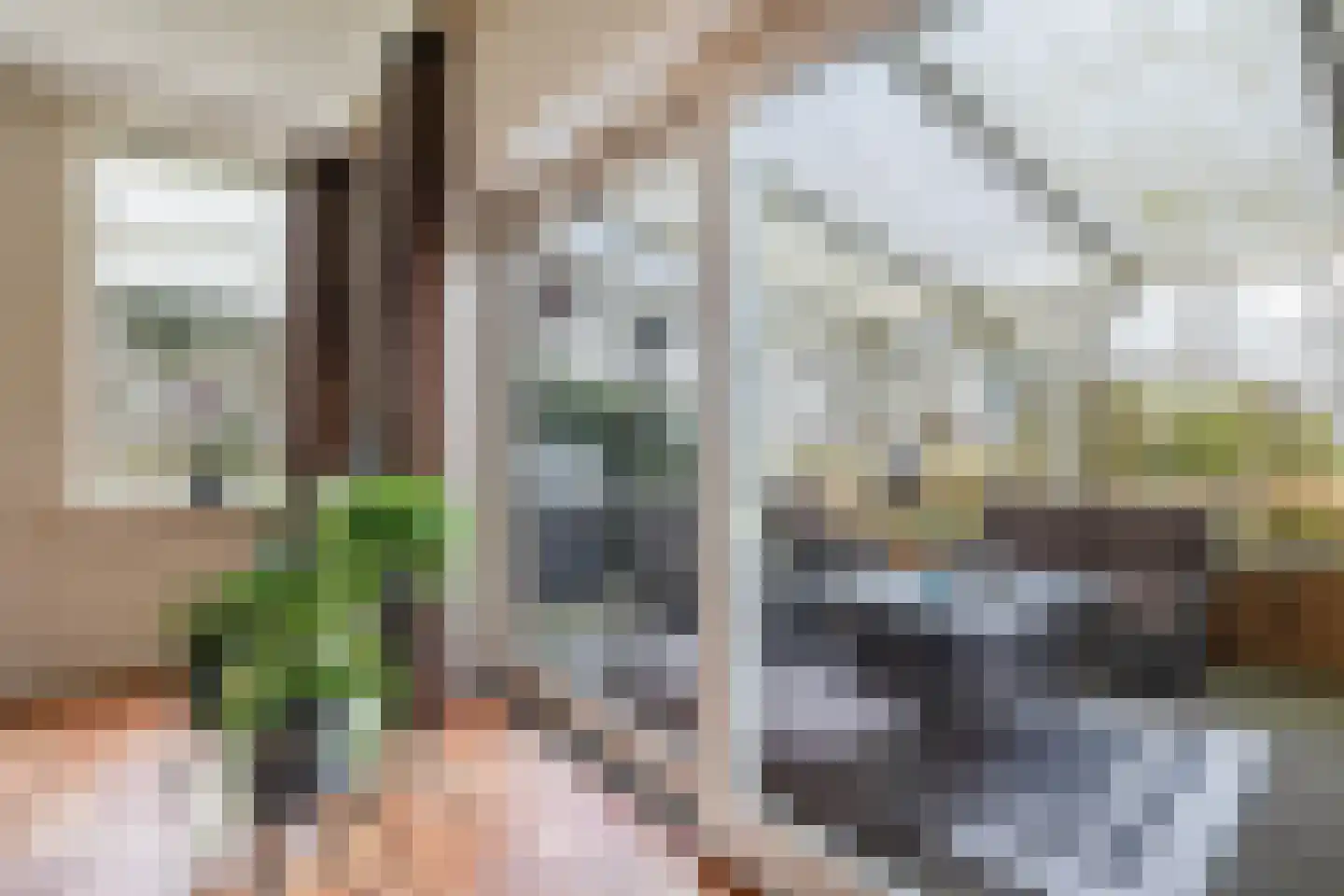 Voor de Blanken 8 Ruinen thumbnail 20