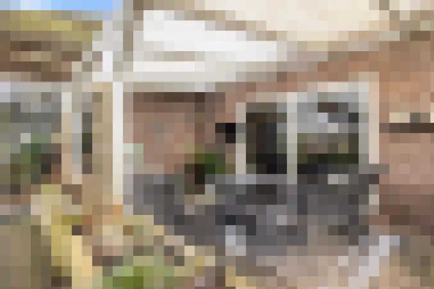 Voor de Blanken 8 Ruinen thumbnail 21