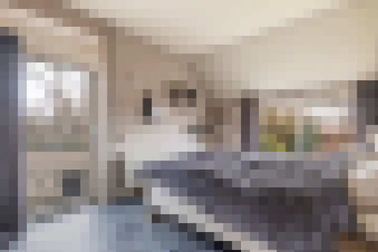 Voor de Blanken 8 Ruinen thumbnail 25