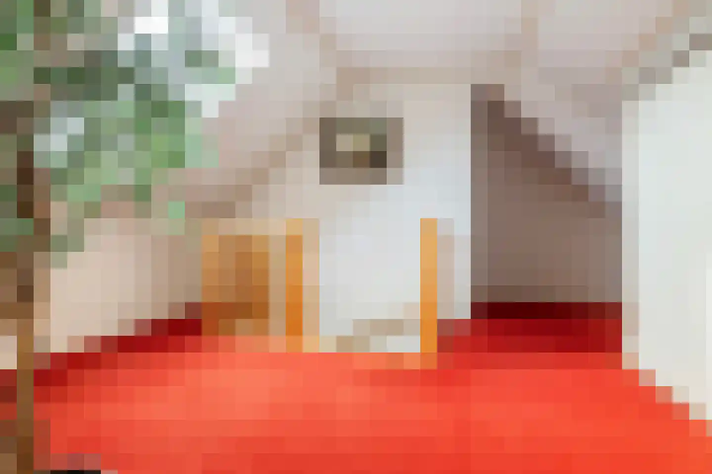 Voor de Blanken 8 Ruinen thumbnail 28